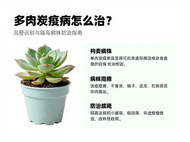 环境调控与长期预防策略