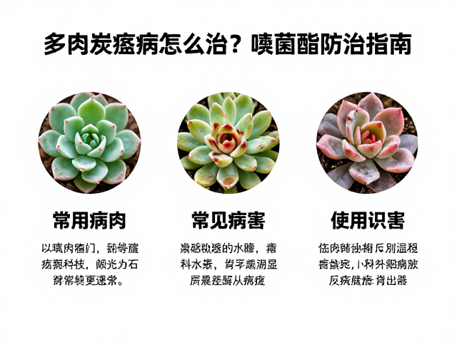 嘧菌酯的作用机理与科学施用方法