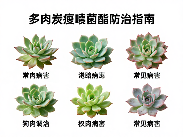 环境调控与农业防治综合措施