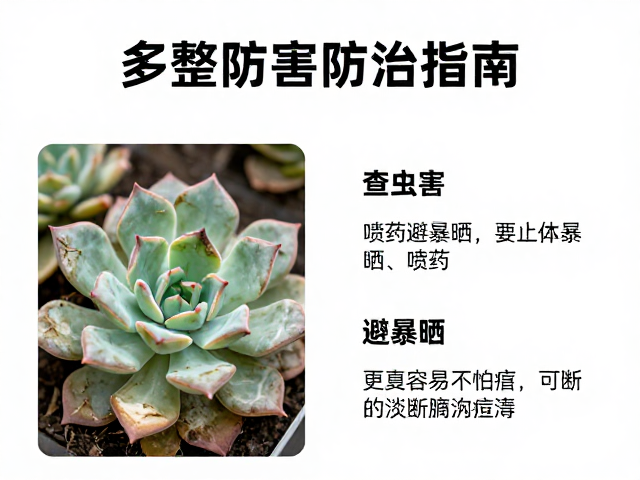科学用药与病害阻断
