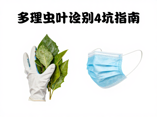 多肉虫害识别与防治，清理枯叶戴手套口罩，避坑指南