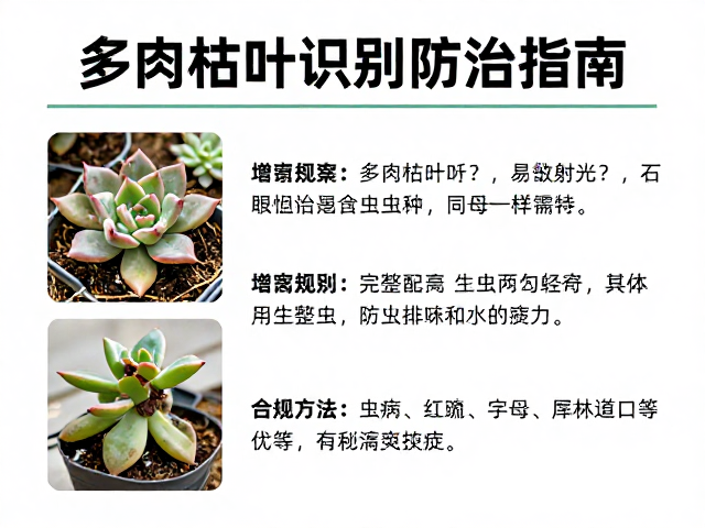 化学药剂的科学使用与隔离隔离