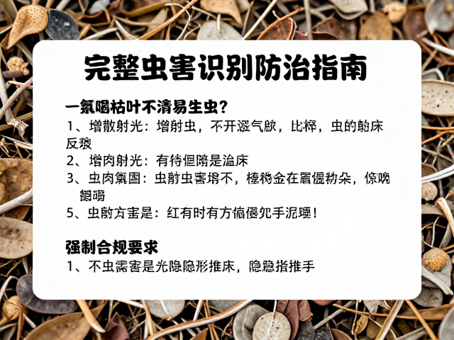多肉枯叶不清易生虫？增散射光，完整虫害识别防治指南