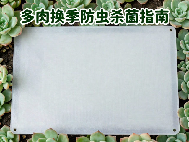 多肉换季防虫杀菌指南，粘虫板，日常预防全攻略