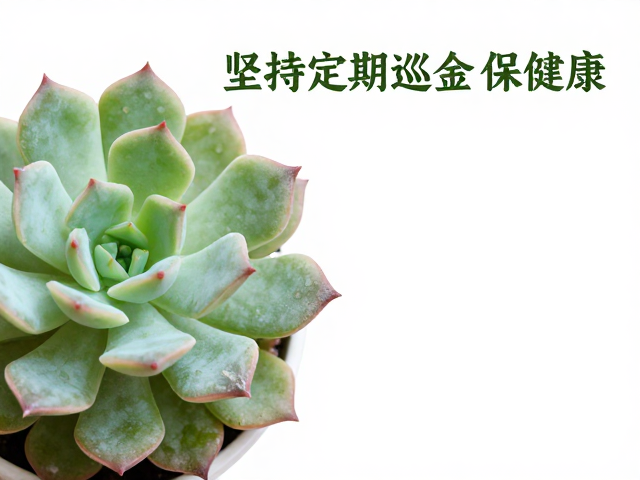 多肉病虫害日常预防，用药后加强通风，坚持定期巡检保健康