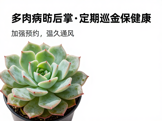 定期巡检:建立严密的监测与物理清除机制