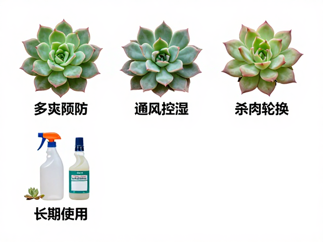杀虫剂轮换:打破病原体的耐药性机制