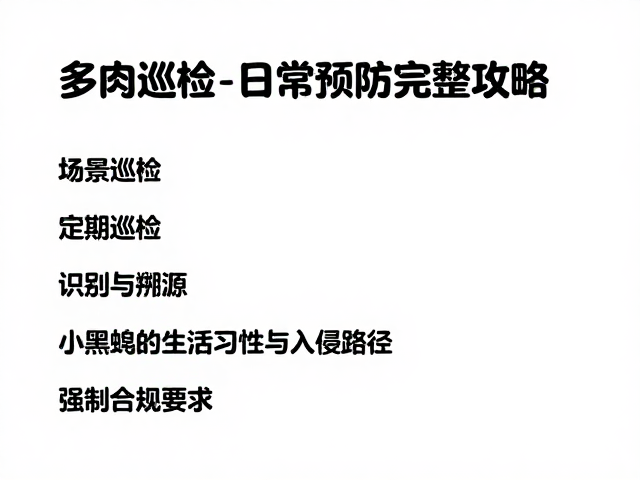 多肉小黑飞怎么防？定期巡检，日常预防完整攻略