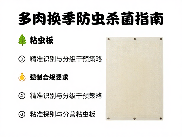 精准识别与分级干预策略