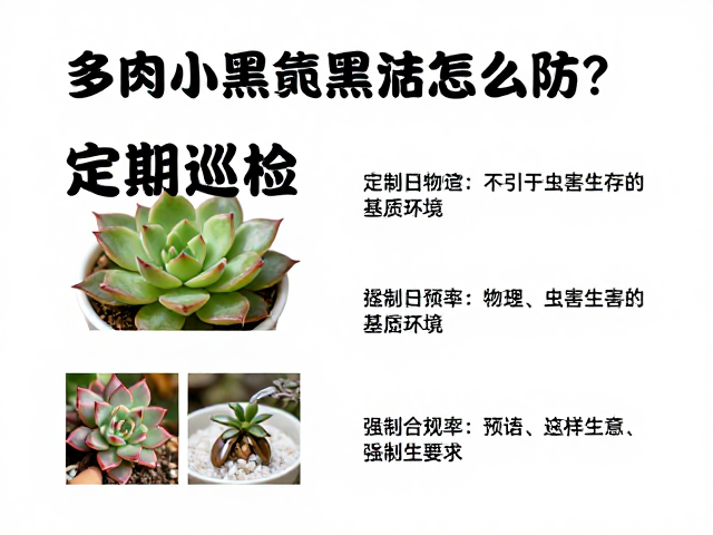 物理与环境干预：打造不利于虫害生存的基质环境
