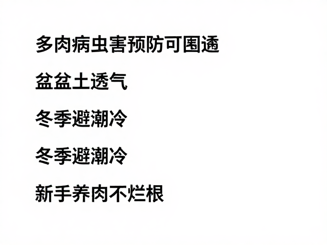 多肉病虫害预防，盆土透气，冬季避潮冷，新手养肉不烂根