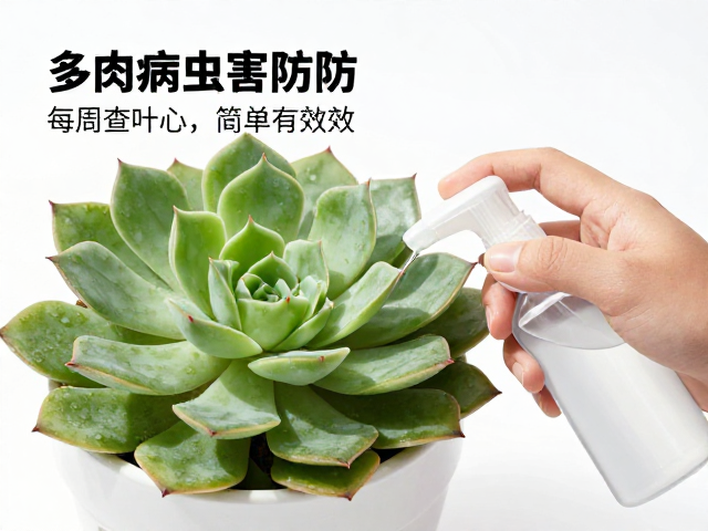 执行细节与常见误区规避