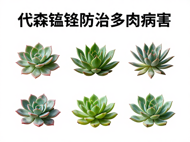 生物防治与化学防治的协同策略