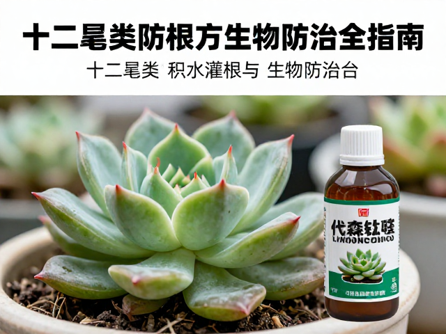 代森锰锌防治多肉病害，十二卷类防积水灌根与生物防治全指南