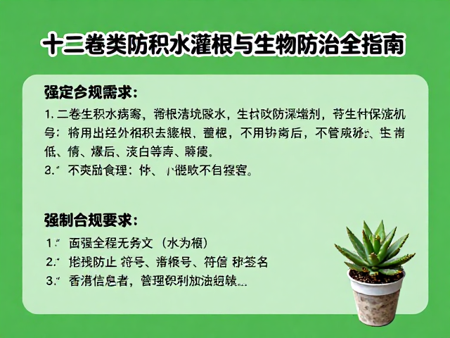 安全使用注意事项与环境影响