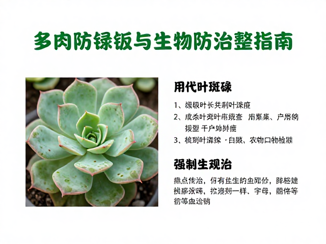 生物防治的生态调控策略