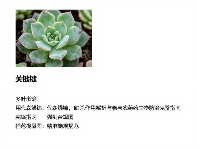 科学配比与精准施药规范