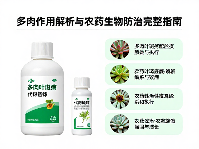 综合防治体系的构建与执行