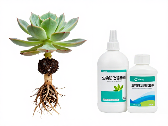 根部灌根药剂选择与稀释比例