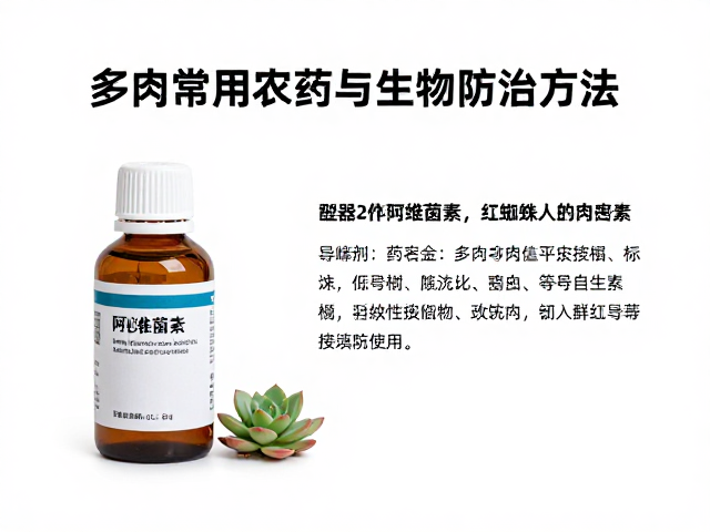 多肉红蜘蛛的常用化学药剂解析