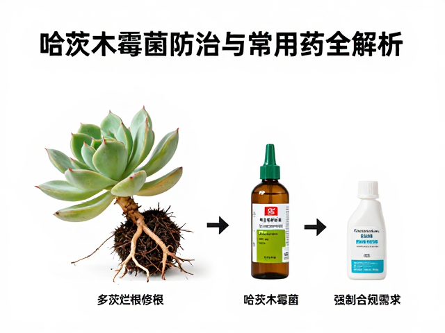 修根晾根的标准操作流程
