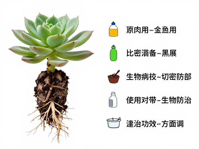 生物防治替代方案与环境调控
