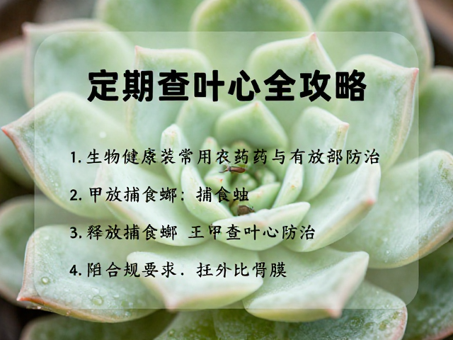 捕食螨的生物防治策略