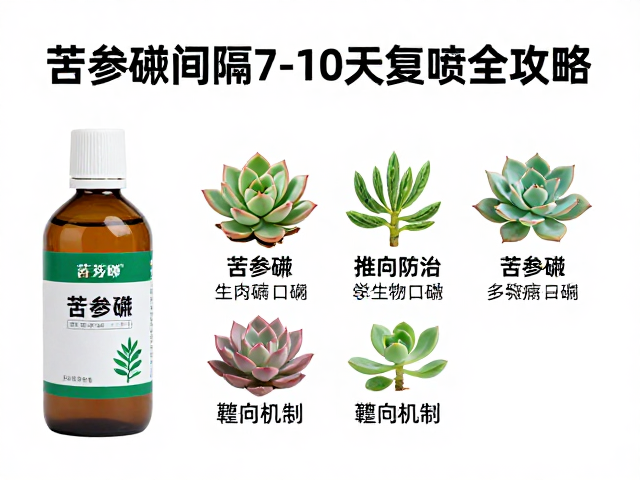 多肉常用农药与生物防治，苦参碱间隔7-10天复喷全攻略