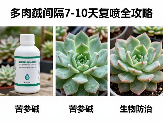 精准配比与施药环境的关键控制
