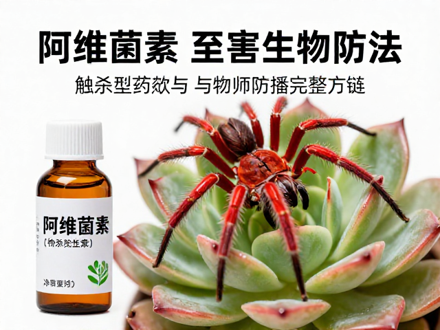 环境管理与物理清除:切断传播与繁殖链
