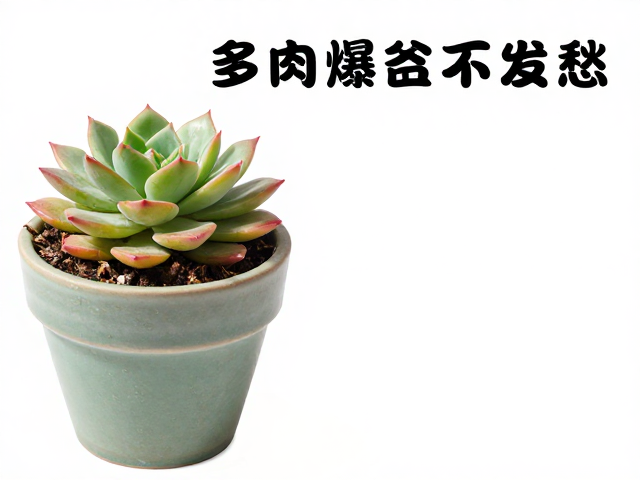 选对花盆与配土的关键