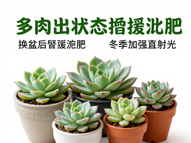 环境与互动的协同效应