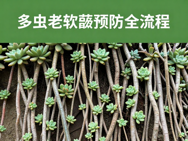 病虫害预警与急救处理机制