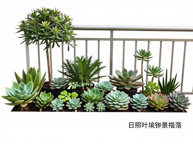 日常养护与环境调控的管理规范
