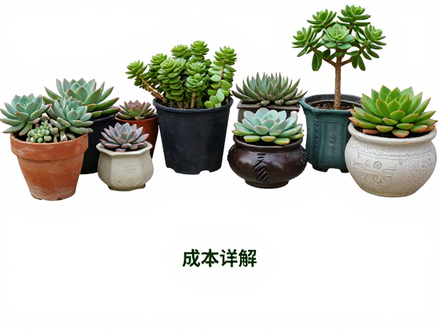 日常养护与季节性管理要点