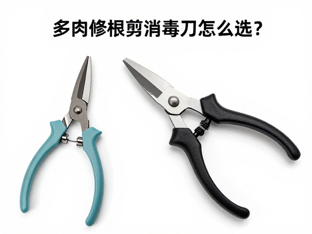 多肉修根剪与消毒剪刀怎么选？基础养护工具使用全指南