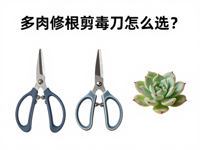 消毒剪刀的卫生标准与操作规范