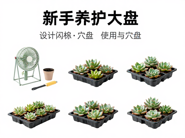 工具协同使用下的养护效率提升