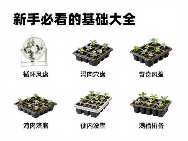 穴盘育苗与移栽的标准操作规范