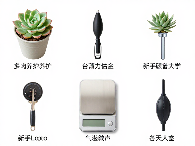 工具组合使用与日常维护逻辑