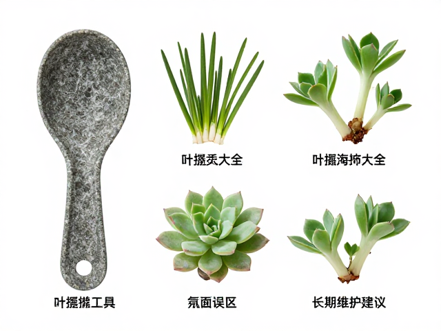常见误区与长期维护建议