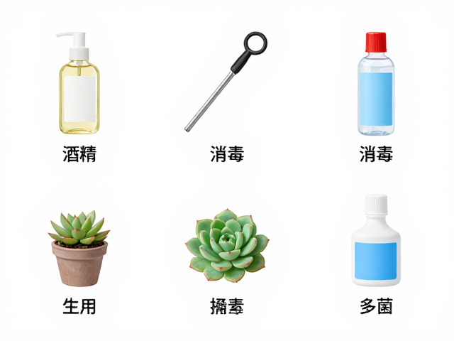 多肉养护基础工具大全，酒精消毒与多菌灵正确使用方法