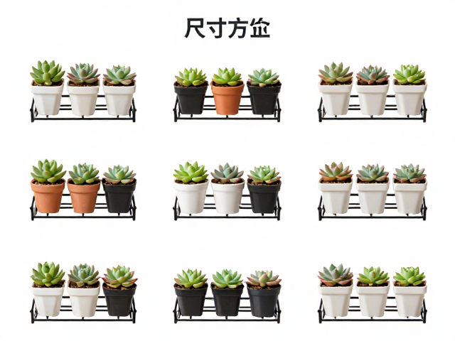日常清洁维护与使用寿命延长技巧