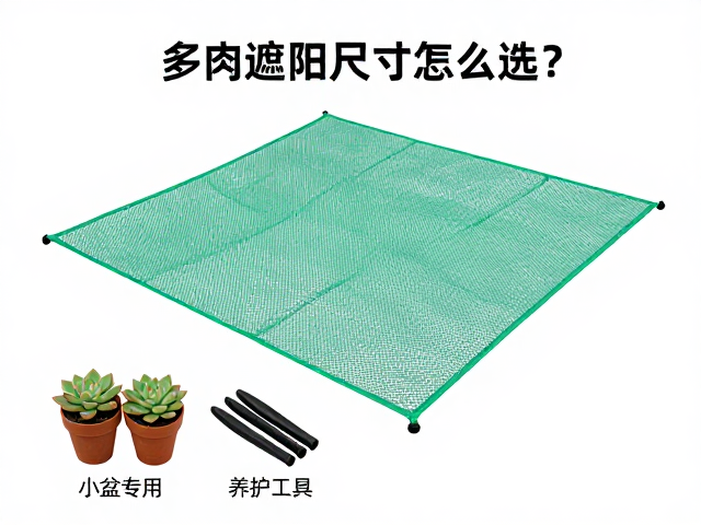 多肉遮阳网尺寸怎么选？小盆专用，养护工具全攻略