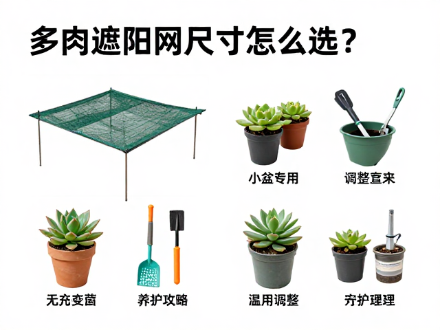 日常维护与季节性调整策略