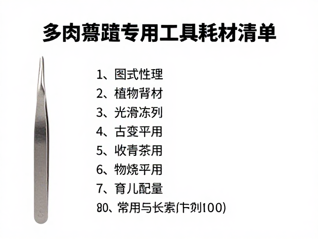 多肉繁殖专用工具耗材清单，镊子选购与用量匹配指南