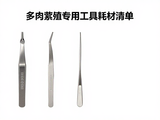 镊子选购与用量匹配指南