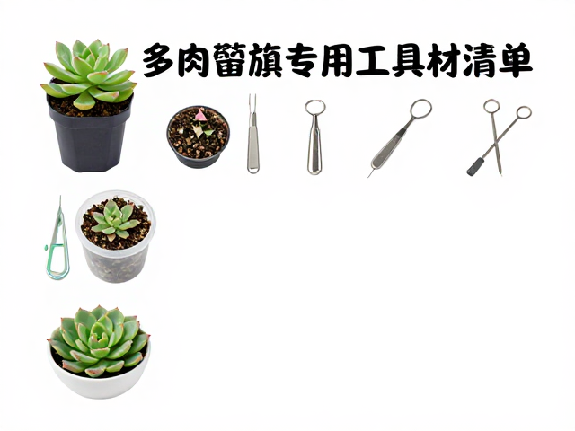 辅助耗材与无菌操作工具的配置