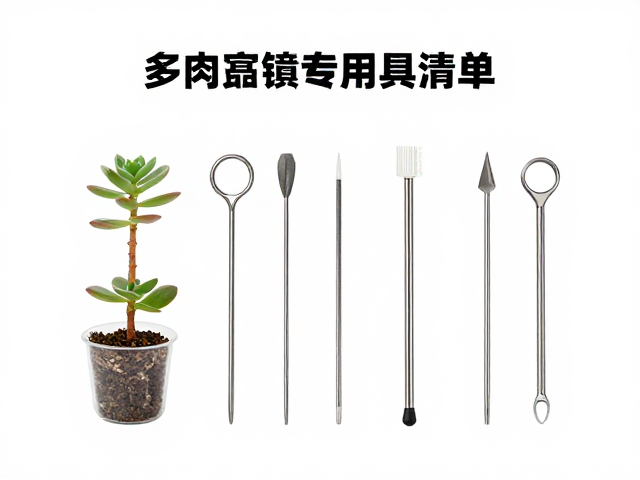 辅助材料的功能性与替代方案