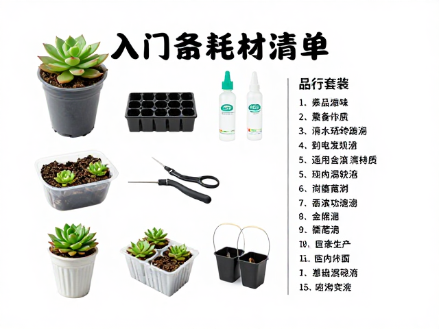 多肉繁殖专用工具与耗材清单，入门套装，杀菌剂选购指南